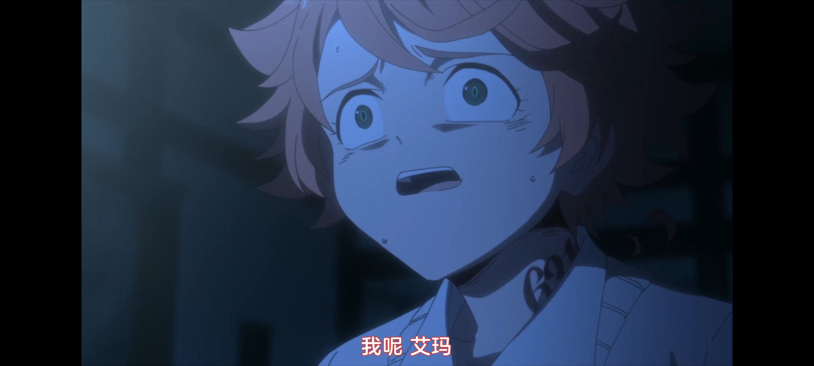 约定的梦幻岛,动画,动漫,番剧,二次元,ACG