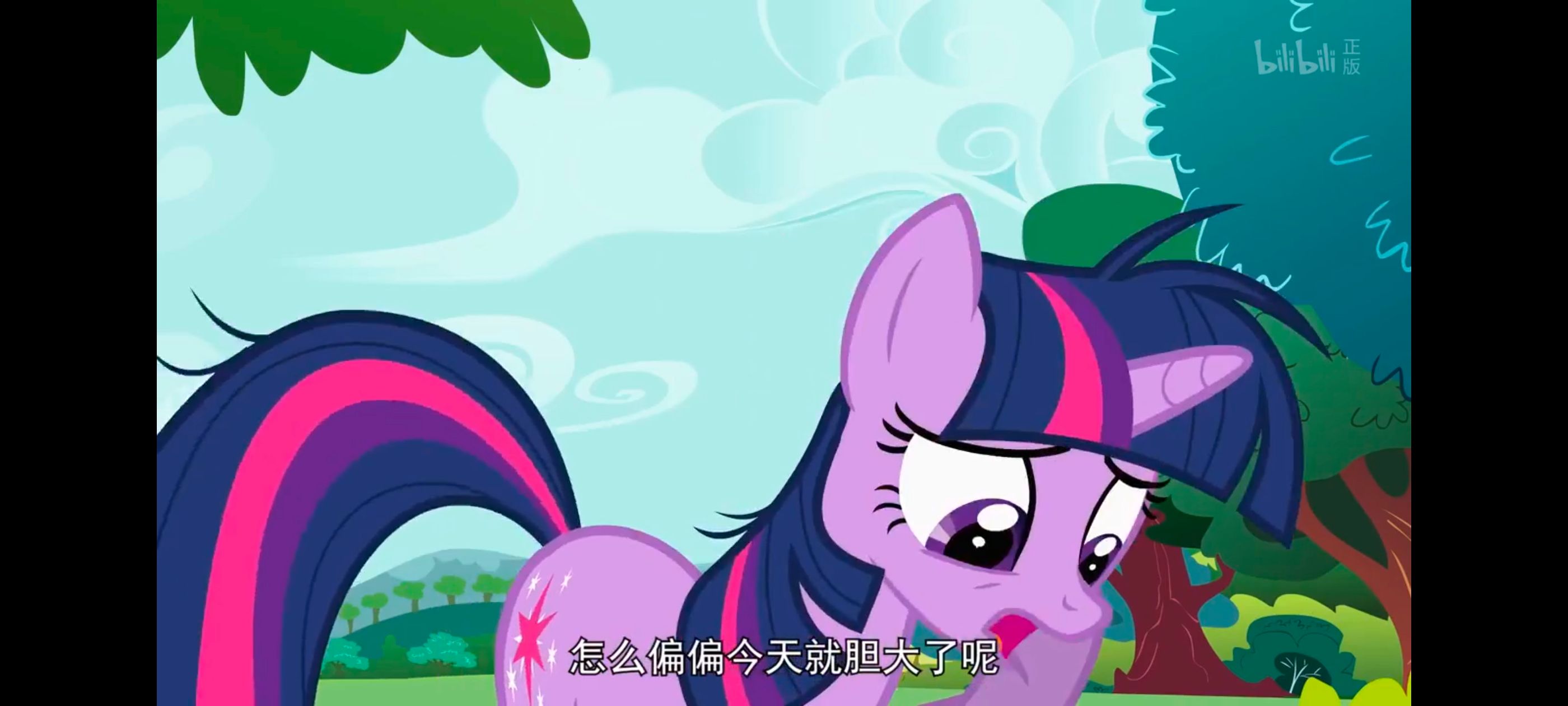 小马宝莉,小马宝莉友谊魔法,彩虹小马,我的小马驹,动画,动漫,番剧,ACG