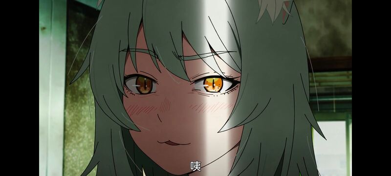 雅尼猫,尼古喵喵,动画,动漫,番剧,二次元,日漫,ACG