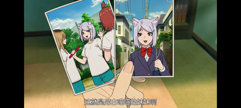 尼古喵喵,雅尼猫,动画,动漫,番剧,二次元,日漫,ACG