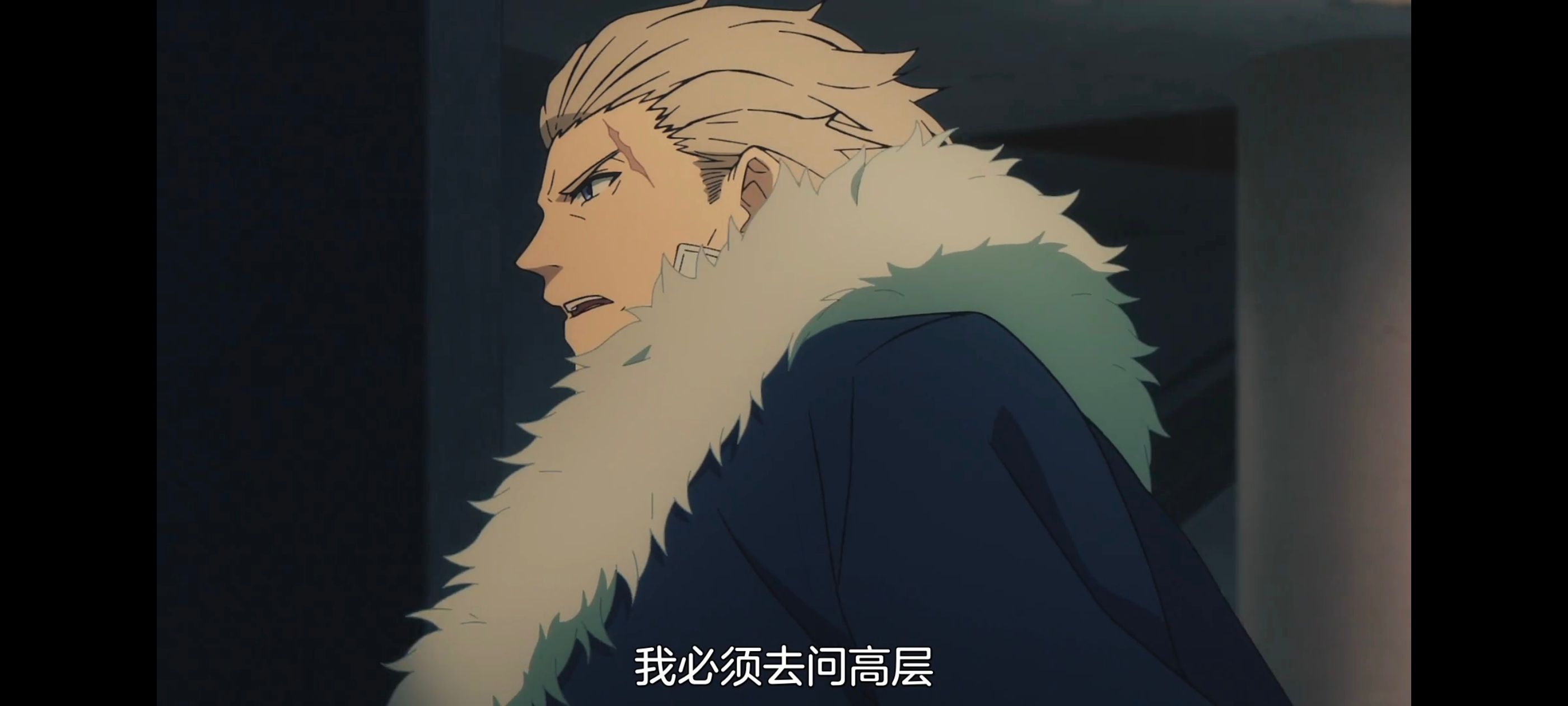 命运奇异赝品,FatestrangeFake,动画,动漫,番剧,ACG