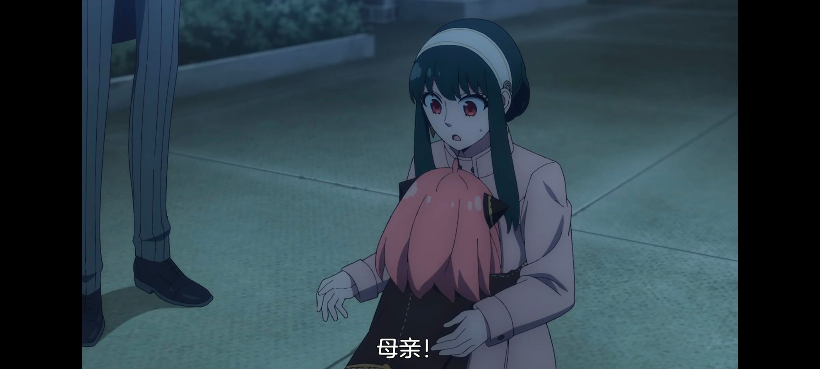 间谍过家家,SPYFAMILY,动画,动漫,番剧,ACG