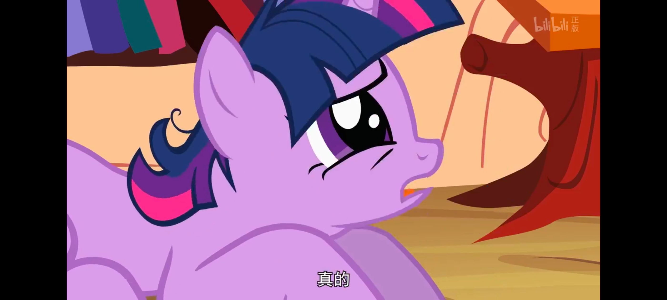 小马宝莉,小马宝莉友谊魔法,彩虹小马,我的小马驹,动画,动漫,番剧,ACG