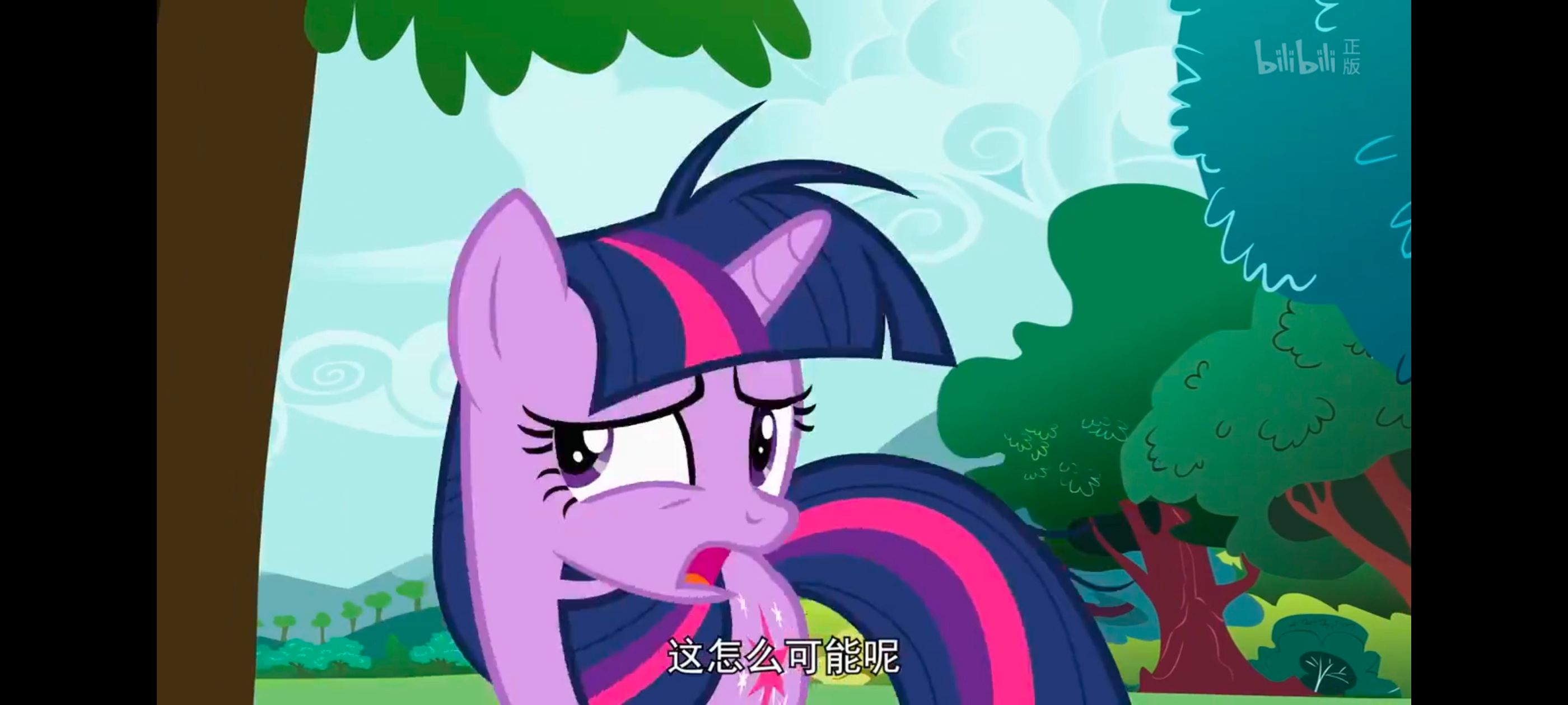 小马宝莉,小马宝莉友谊魔法,彩虹小马,我的小马驹,动画,动漫,番剧,ACG