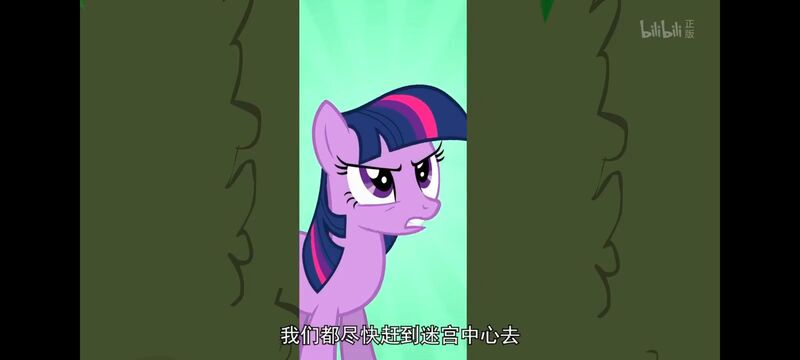 小马宝莉,小马宝莉友谊魔法,彩虹小马,我的小马驹,动画,动漫,番剧,ACG