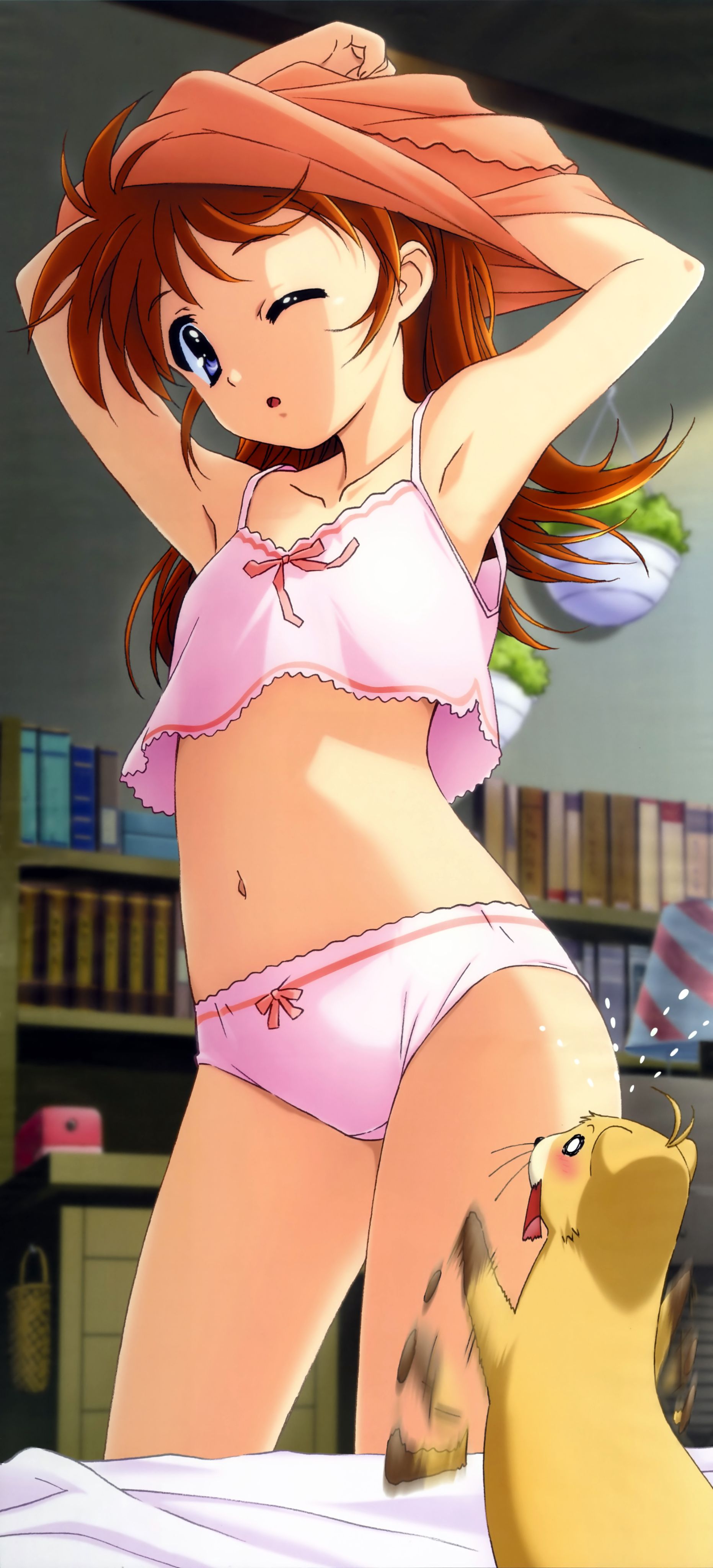 动漫,ACG,二次元,杂志,Nyantype