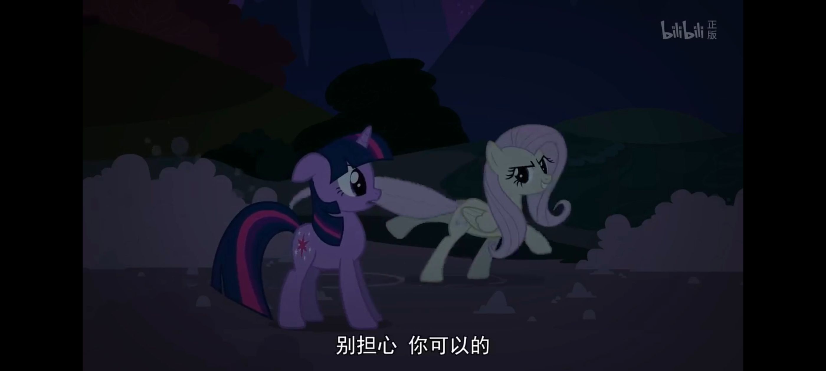 小马宝莉,彩虹小马,我的小马驹,小马宝莉友谊魔法,动漫,动画,番剧,ACG