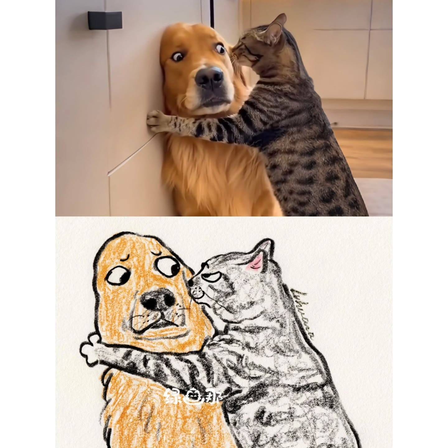 绿画那,插画,猫猫,可爱