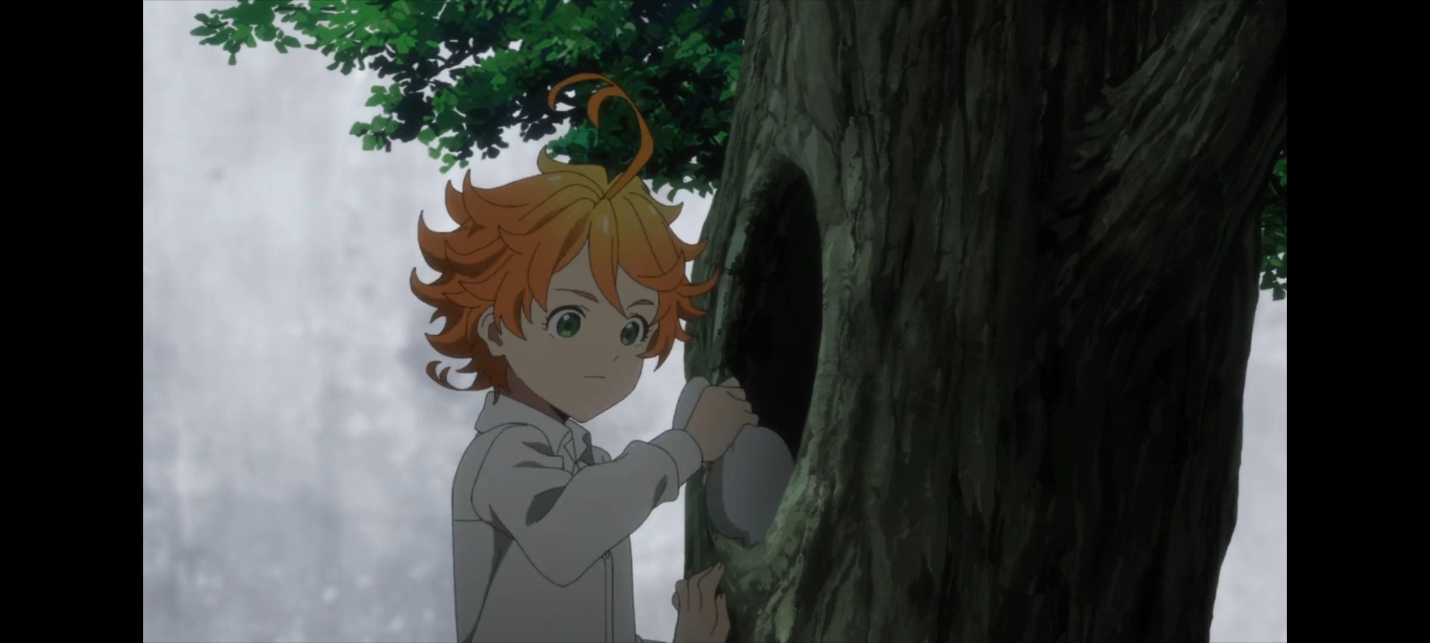 约定的梦幻岛,动画,动漫,番剧,二次元,ACG