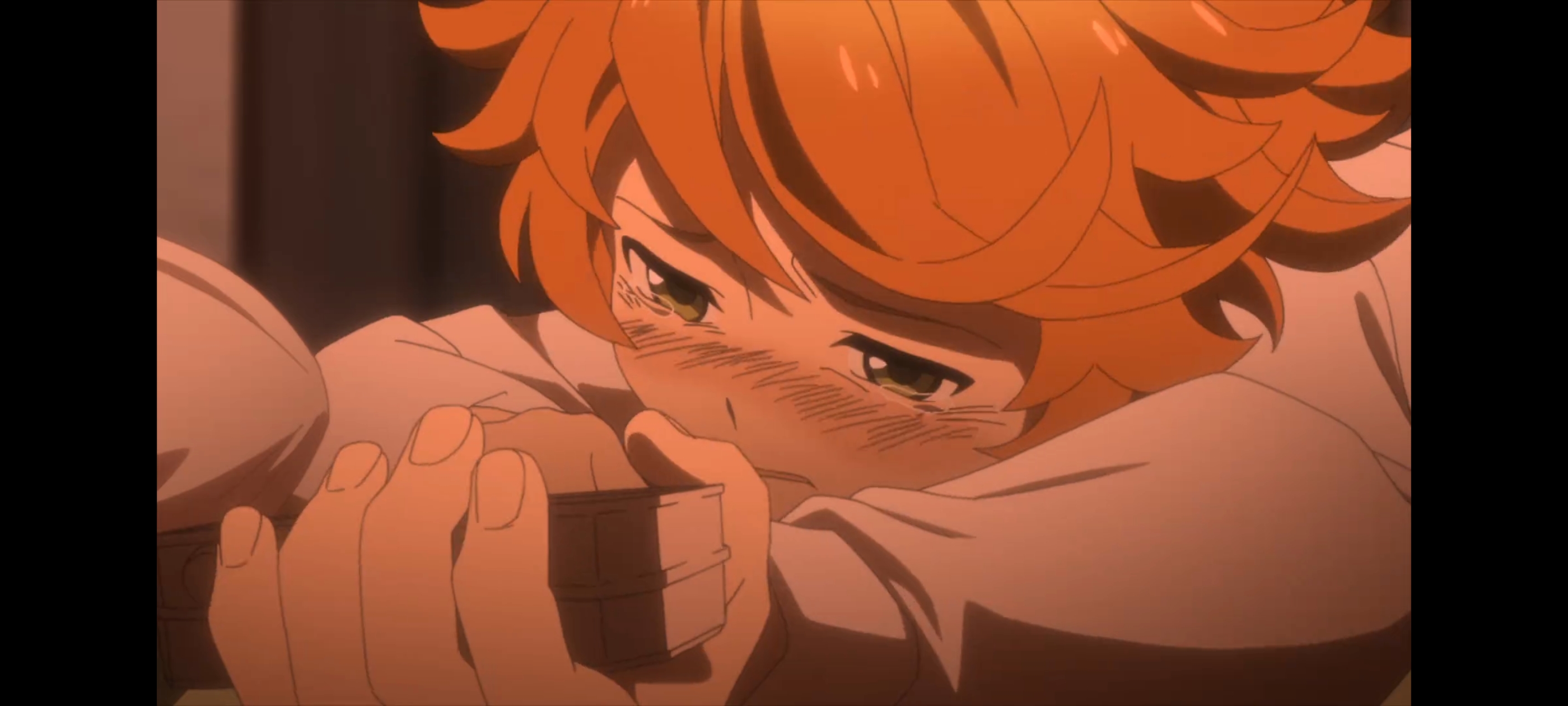 约定的梦幻岛,动画,动漫,番剧,二次元,ACG