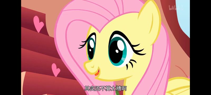 小马宝莉,小马宝莉友谊魔法,彩虹小马,我的小马驹,动画,动漫,番剧,ACG