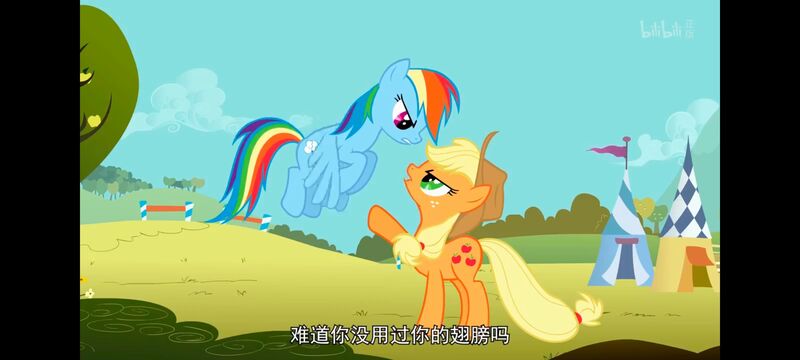 小马宝莉,小马宝莉友谊魔法,彩虹小马,我的小马驹,动画,动漫,番剧,ACG