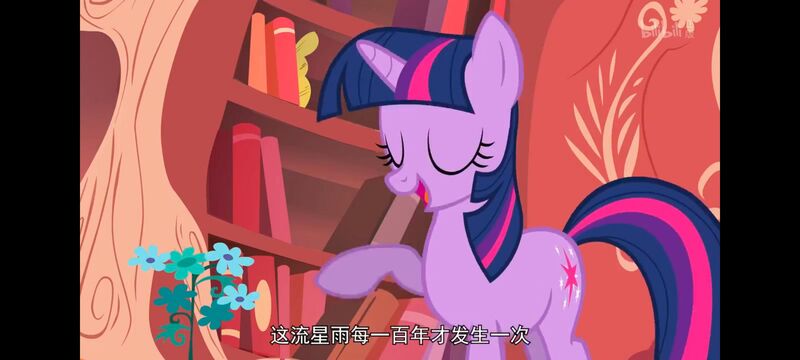 小马宝莉,彩虹小马,我的小马驹,动画,动漫,番剧,ACG,小马宝莉友谊魔法