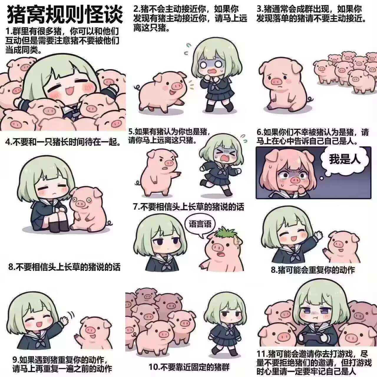 猪,猪猪,表情包