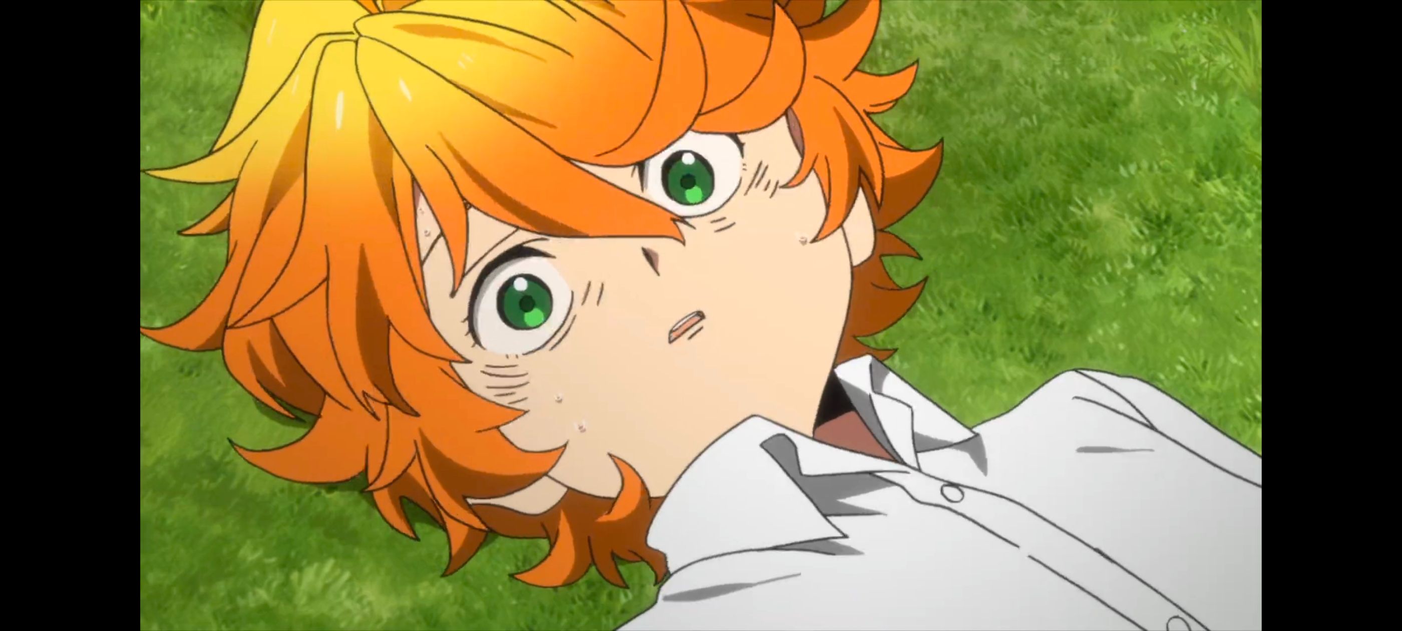 约定的梦幻岛,动画,动漫,番剧,二次元,ACG