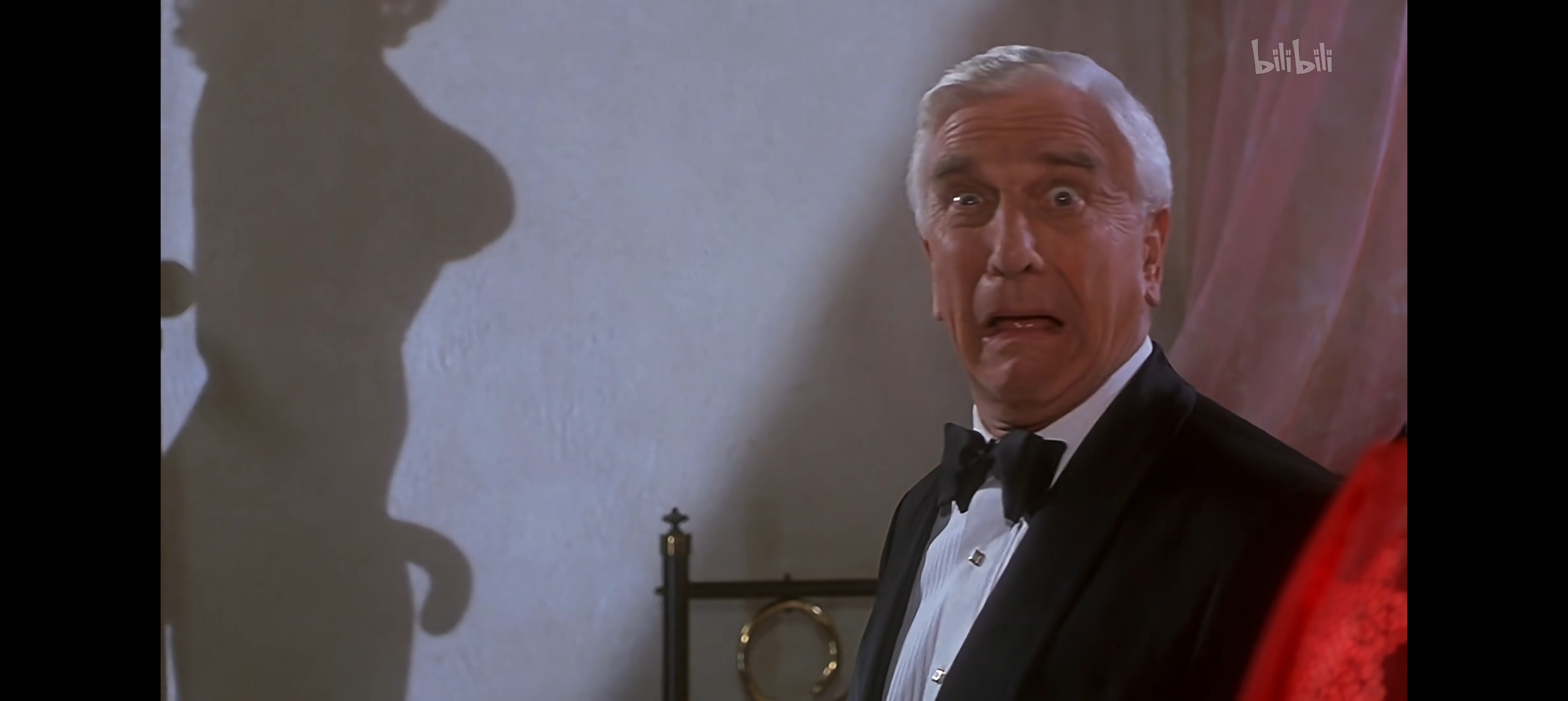 文章,观后有感,白头神探,笑弹龙虎榜,The Naked Gun,电影,美剧