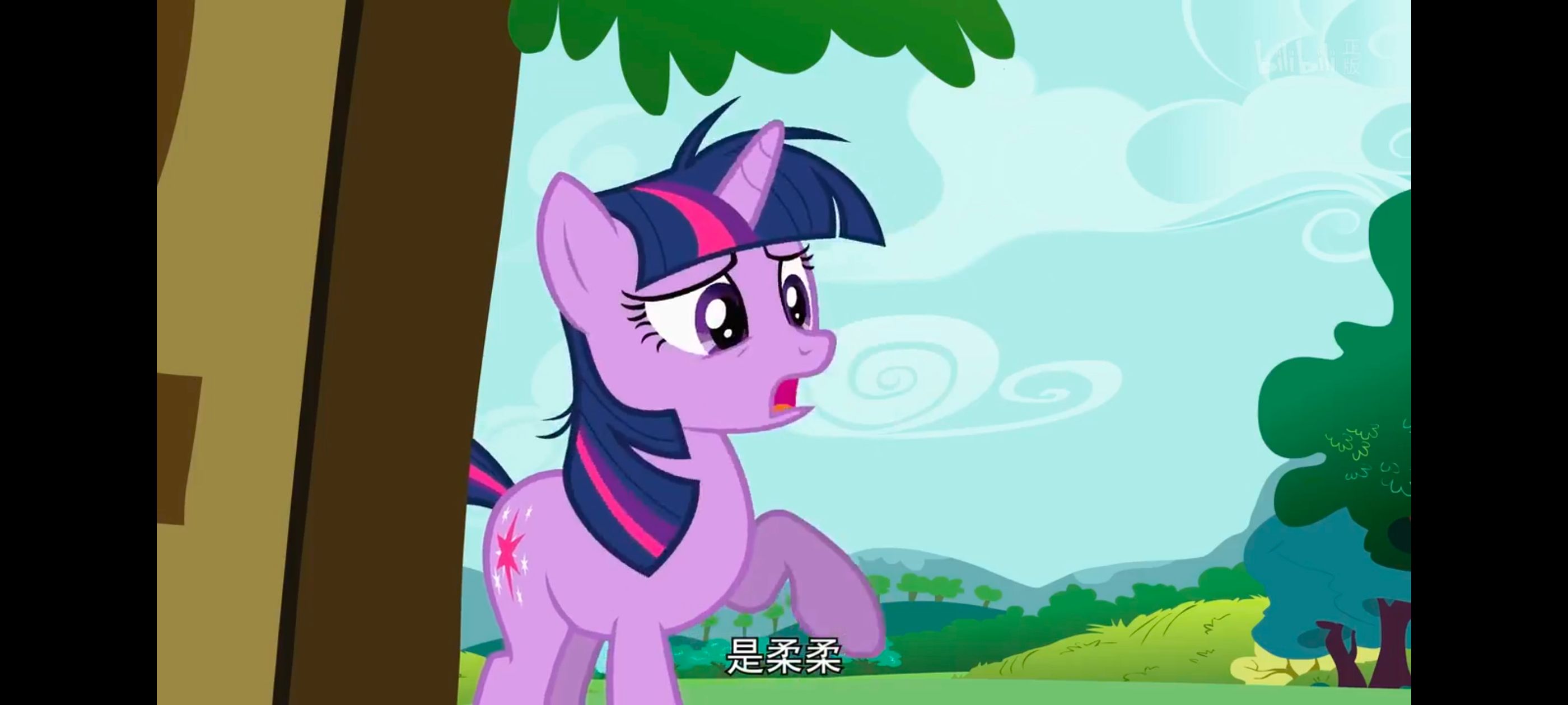 小马宝莉,小马宝莉友谊魔法,彩虹小马,我的小马驹,动画,动漫,番剧,ACG