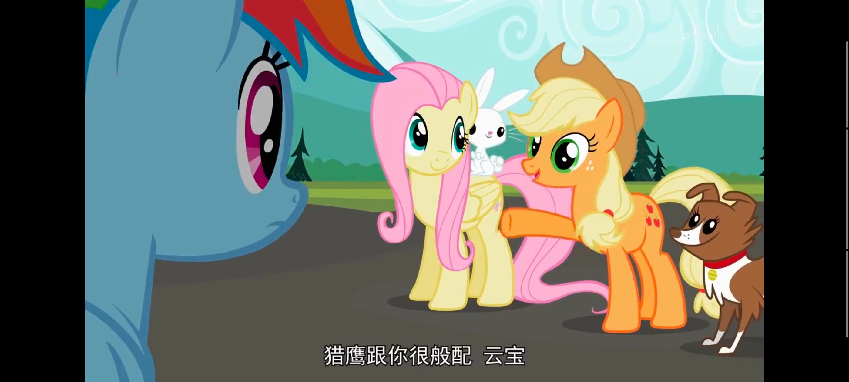 小马宝莉,彩虹小马,我的小马驹,动画,动漫,番剧,二次元,ACG