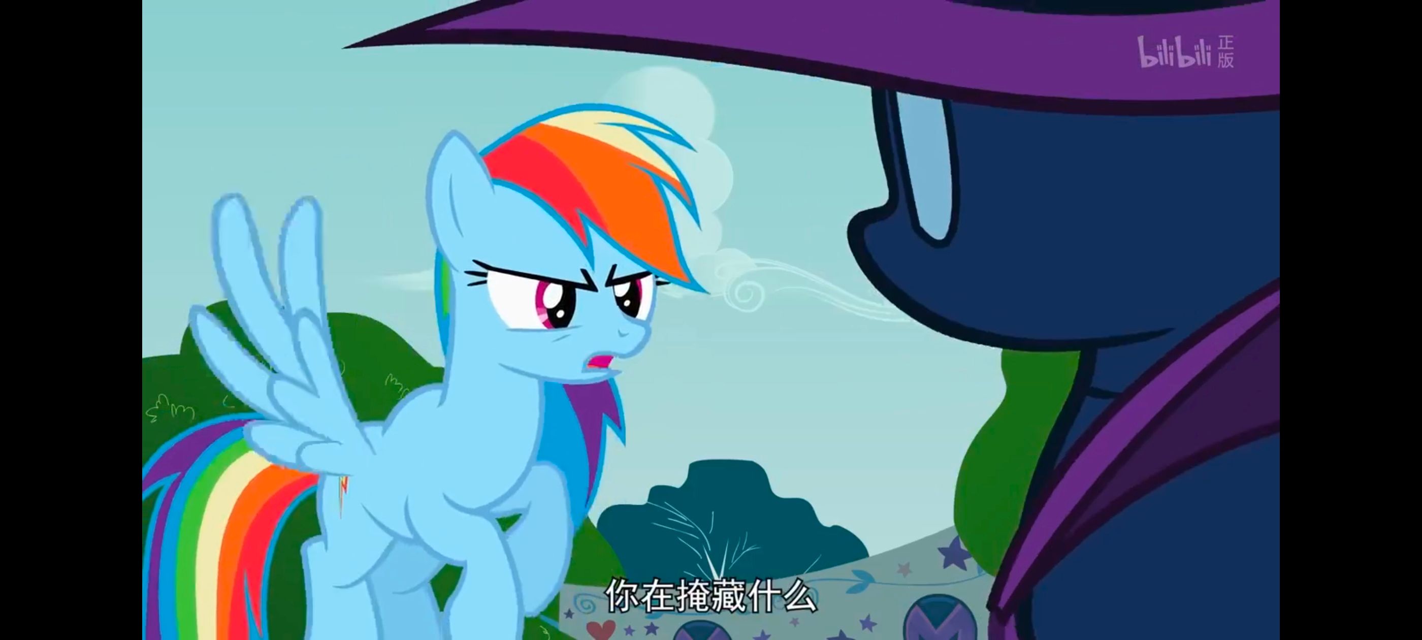 小马宝莉,彩虹小马,我的小马驹,动画,动漫,番剧,ACG