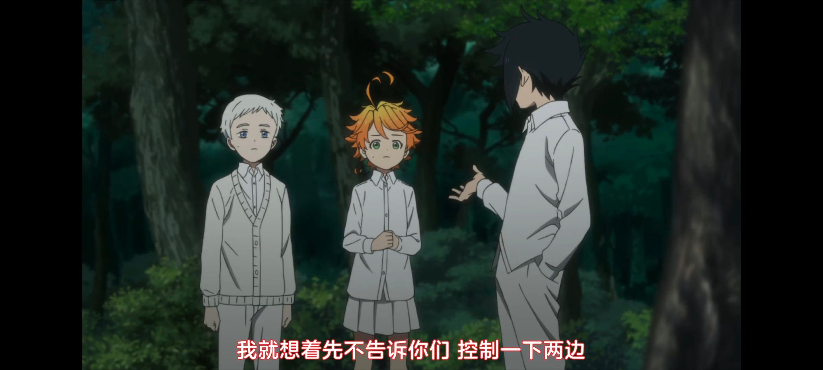 约定的梦幻岛,动画,动漫,番剧,ACG