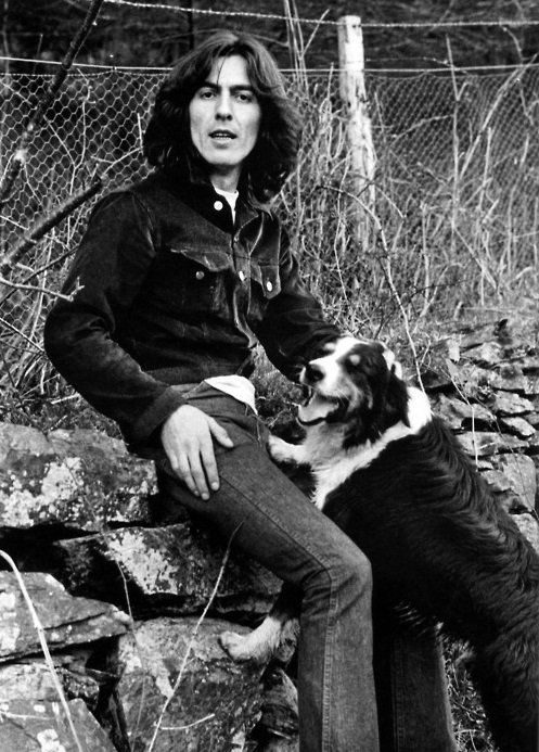 披头士,Thebeatles,Beatlemania,beatle,约翰列侬,保罗麦卡特尼,林戈斯塔尔,乔治哈里森