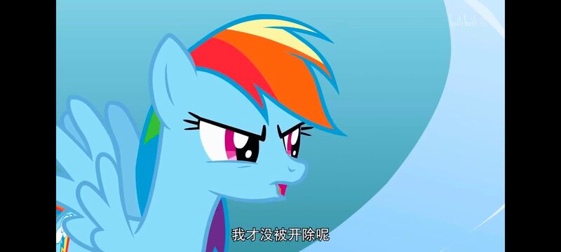 小马宝莉,小马宝莉友谊魔法,彩虹小马,我的小马驹,动画,动漫,番剧,ACG