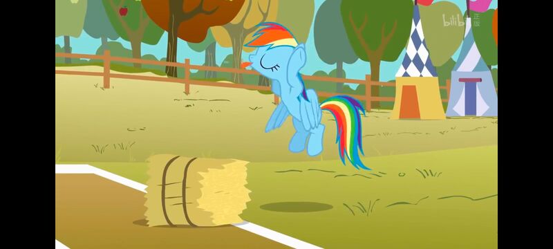 小马宝莉,小马宝莉友谊魔法,彩虹小马,我的小马驹,动画,动漫,番剧,ACG