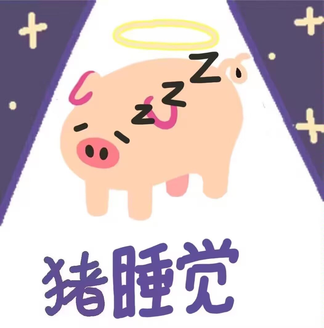 猪,猪猪,表情包