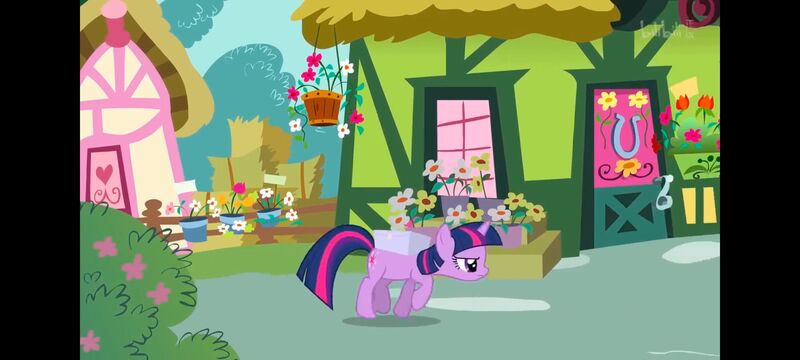 小马宝莉,小马宝莉友谊魔法,彩虹小马,我的小马驹,动画,动漫,番剧,ACG