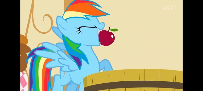 小马宝莉,小马宝莉友谊魔法,彩虹小马,我的小马驹,动画,动漫,番剧,ACG