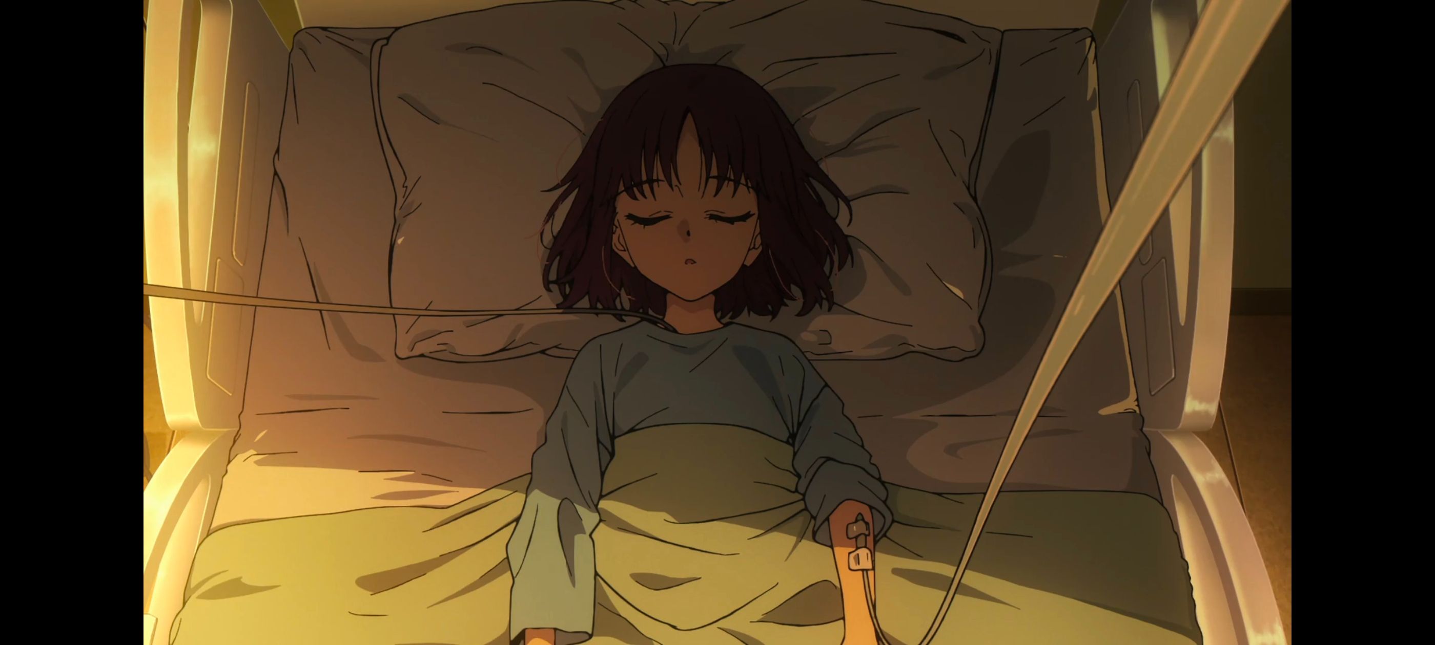 命运奇异赝品,FatestrangeFake,动画,动漫,番剧,ACG