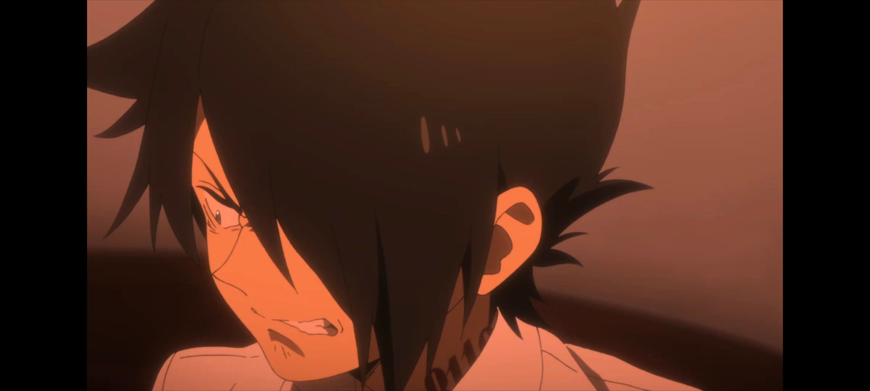 约定的梦幻岛,动画,动漫,番剧,二次元,ACG