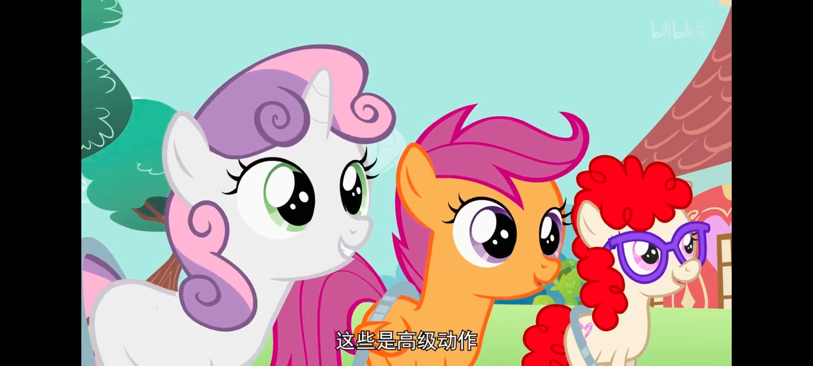 小马宝莉,彩虹小马,我的小马驹,动漫,动画,番剧,ACG