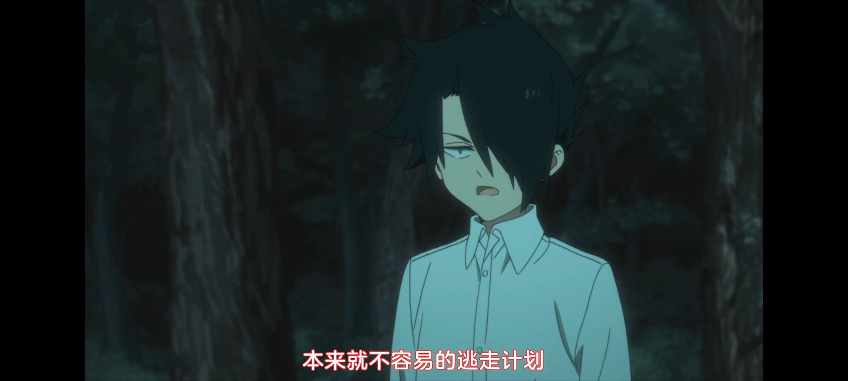 约定的梦幻岛,动画,动漫,番剧,ACG