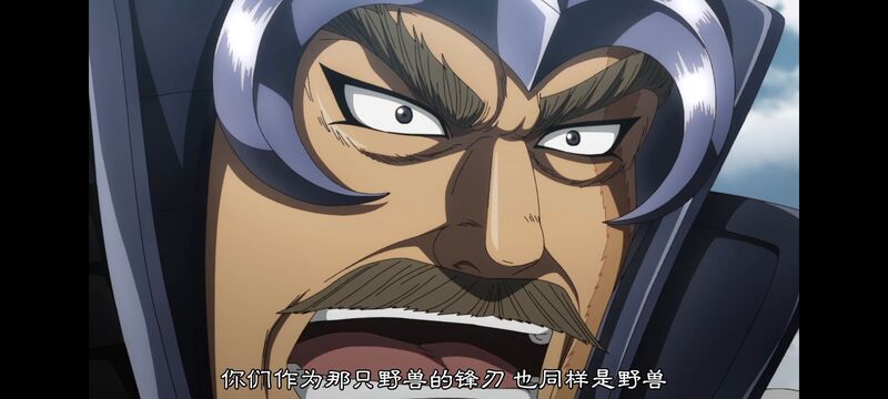 王者天下,动画,动漫,番剧,ACG