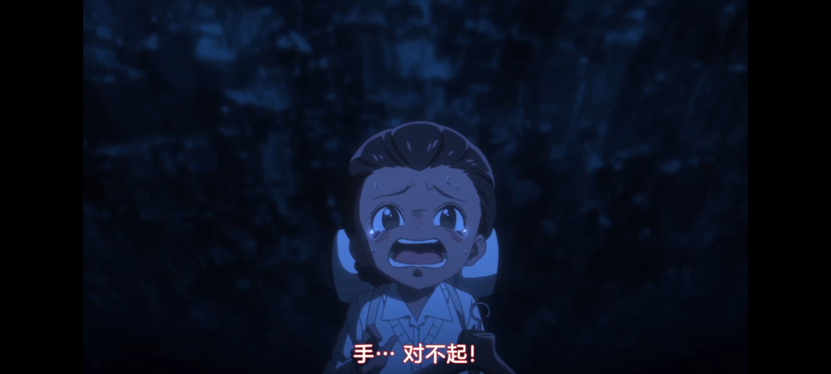 约定的梦幻岛,动画,动漫,番剧,二次元,ACG