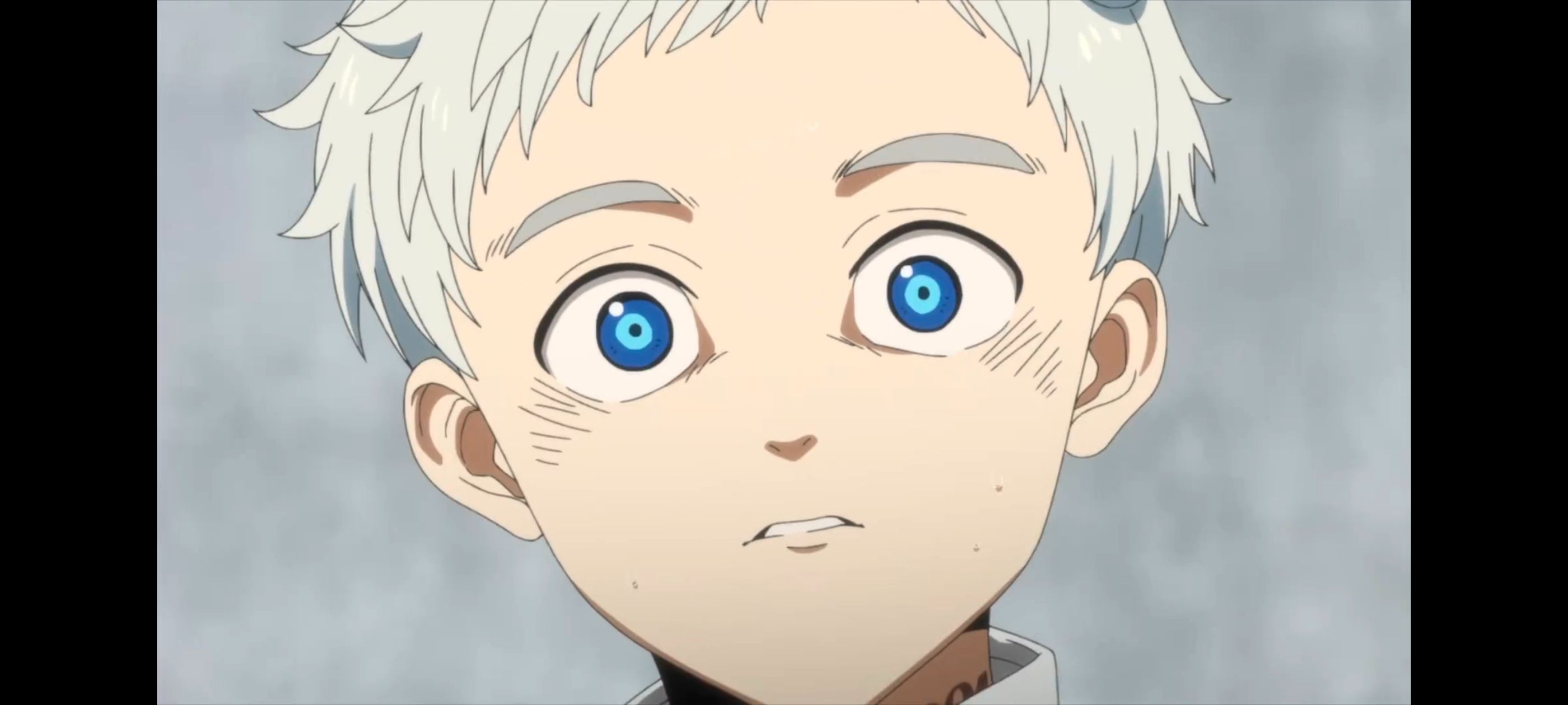 约定的梦幻岛,动画,动漫,番剧,二次元,ACG