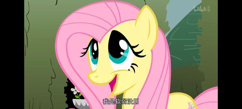 小马宝莉,小马宝莉友谊魔法,彩虹小马,我的小马驹,动画,动漫,番剧,ACG