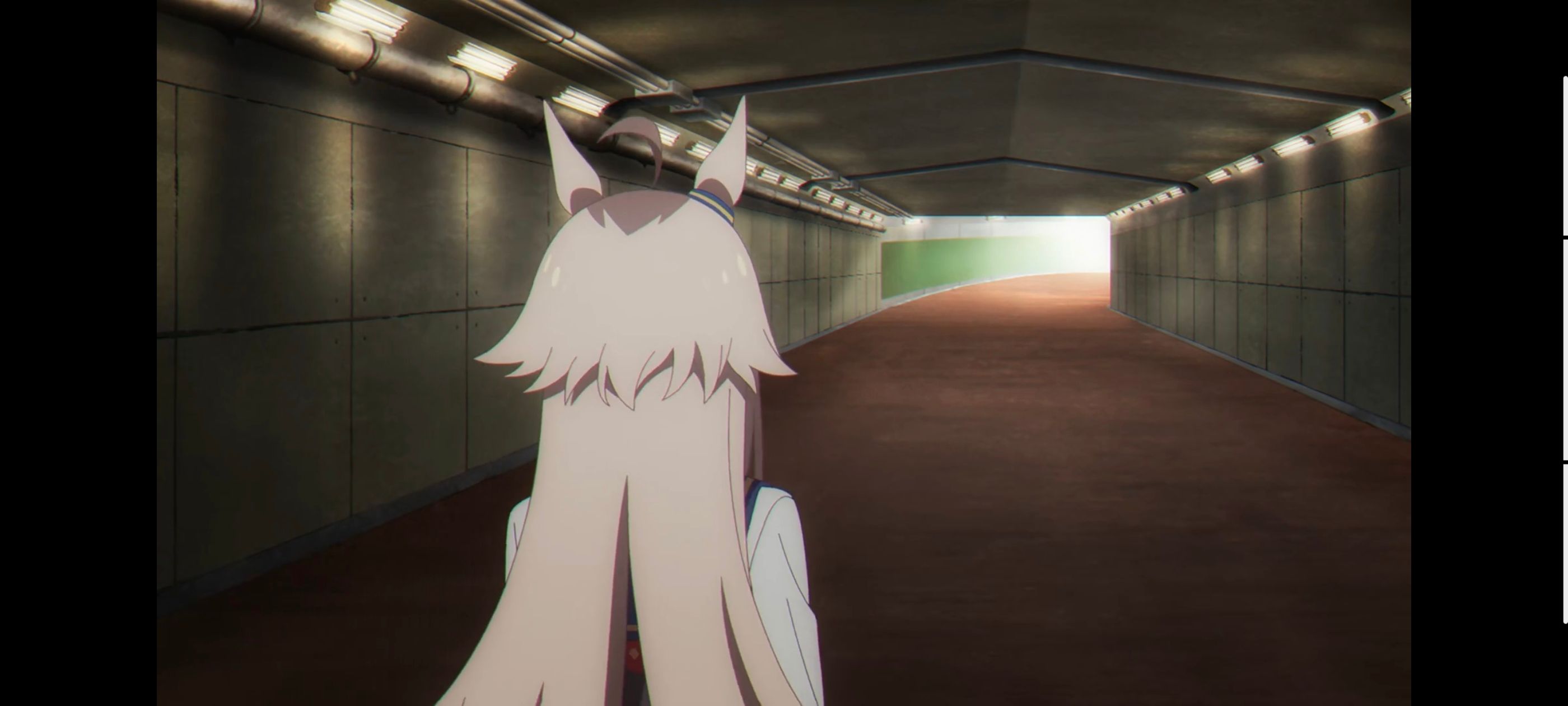 赛马娘,赛马娘PrettyDreby,赛马娘芦毛灰姑娘,芦毛灰姑娘,动画,动漫,番剧,ACG