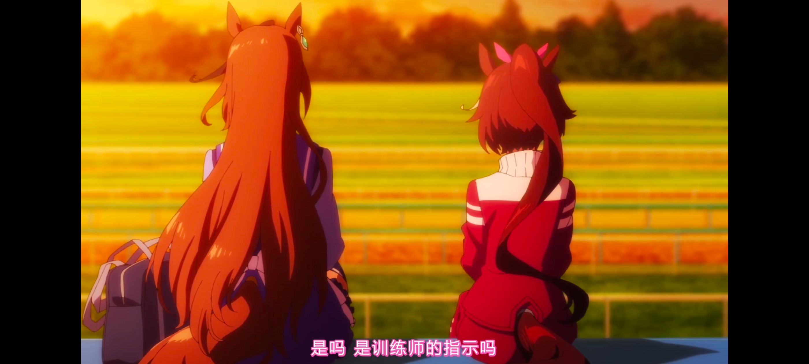 赛马娘,赛马娘PrettyDreby,赛马娘第二季,动画,动漫,番剧,ACG