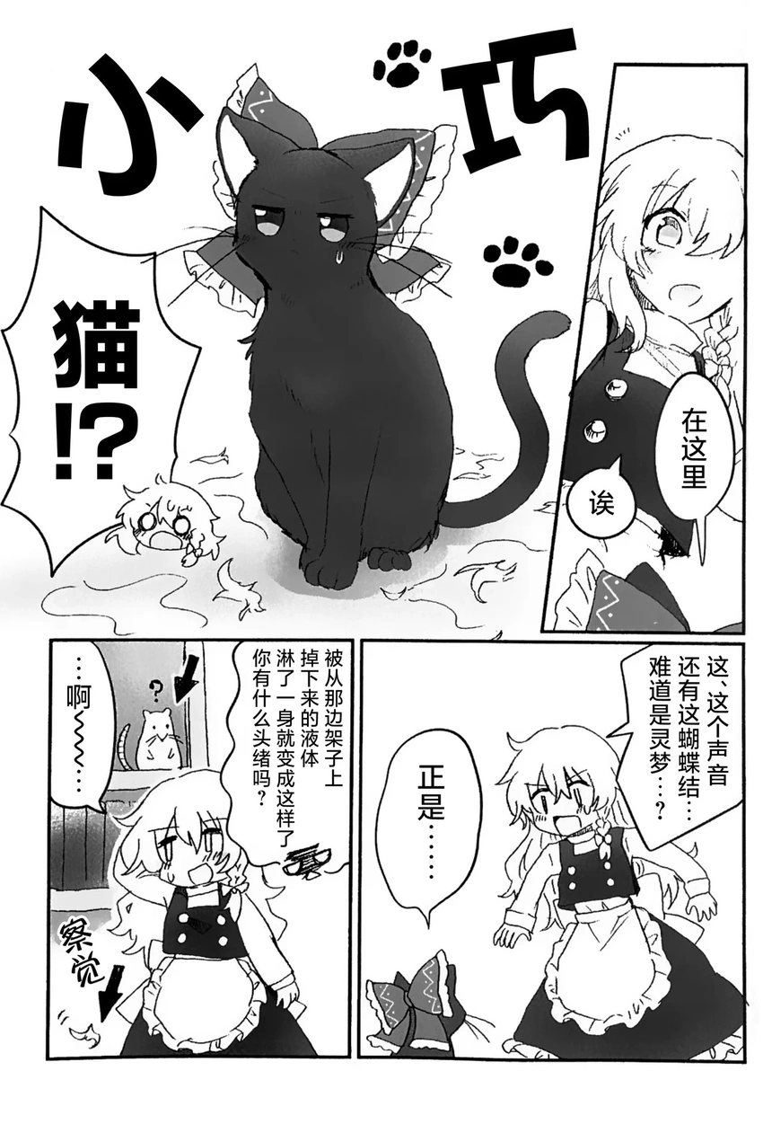 东方project,博丽灵梦,雾雨魔理沙