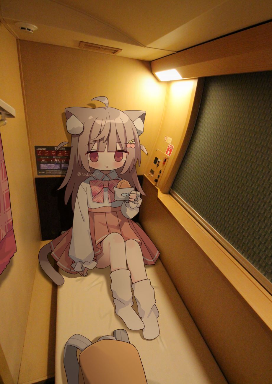 pixiv,二次元,绘画,壁纸,猫娘,美少女