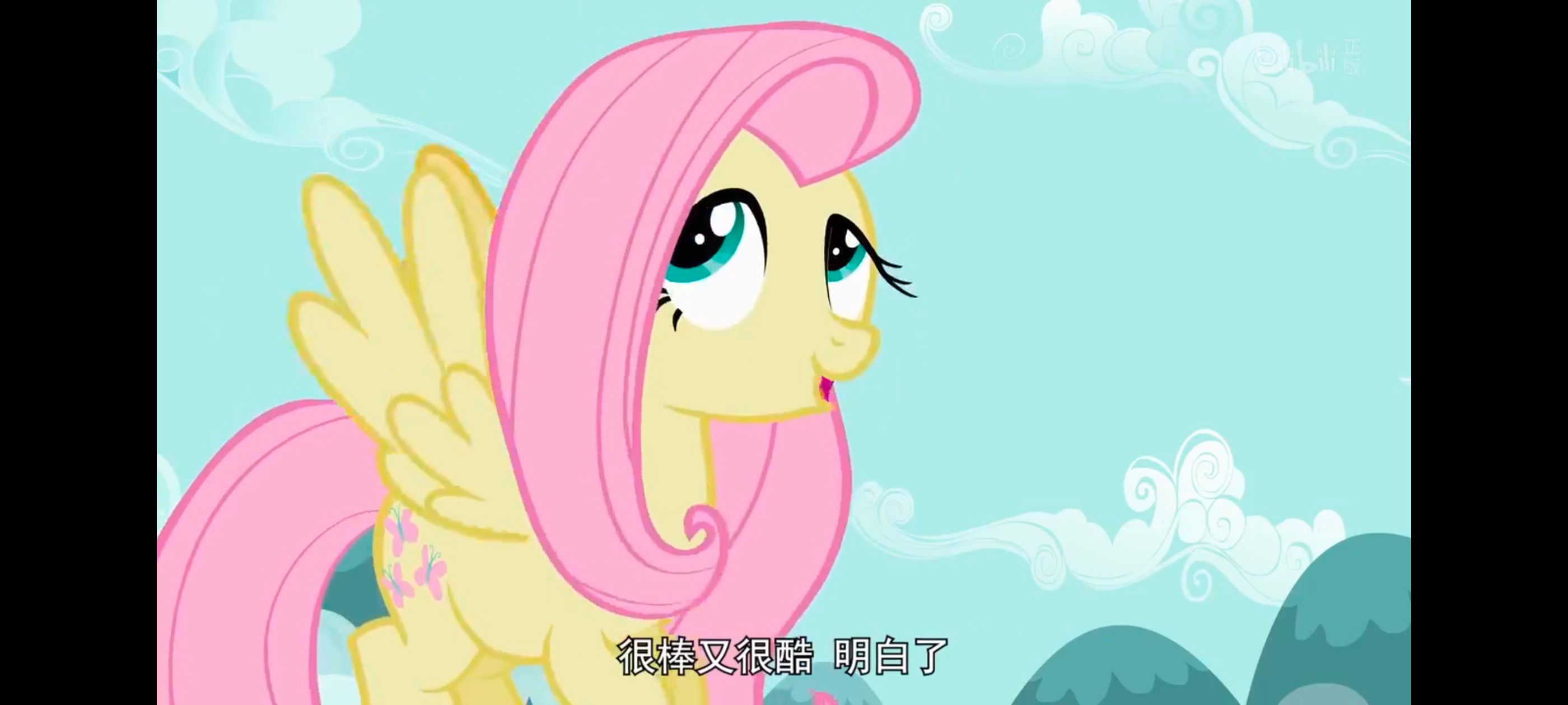 小马宝莉,彩虹小马,我的小马驹,动画,动漫,番剧,二次元,ACG