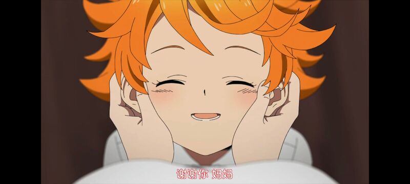 约定的梦幻岛,动画,动漫,番剧,ACG