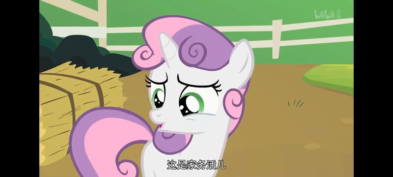 小马宝莉,小马宝莉友谊魔法,彩虹小马,我的小马驹,动画,动漫,番剧,ACG