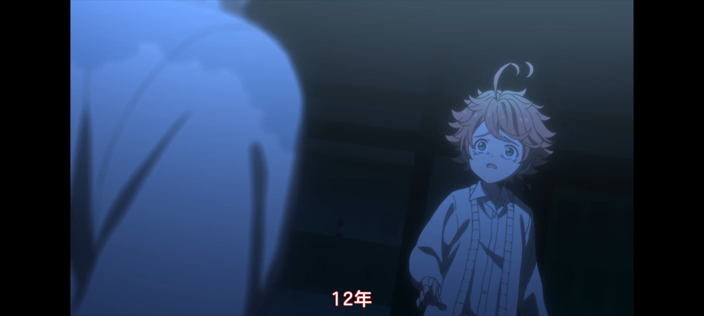 约定的梦幻岛,动画,动漫,番剧,二次元,ACG