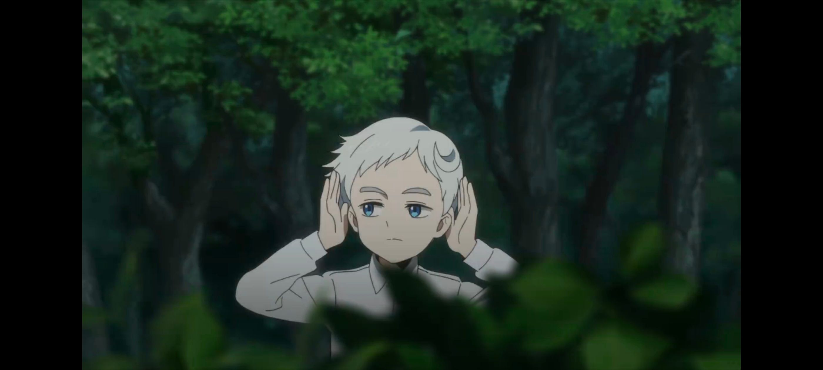 约定的梦幻岛,动画,动漫,番剧,ACG