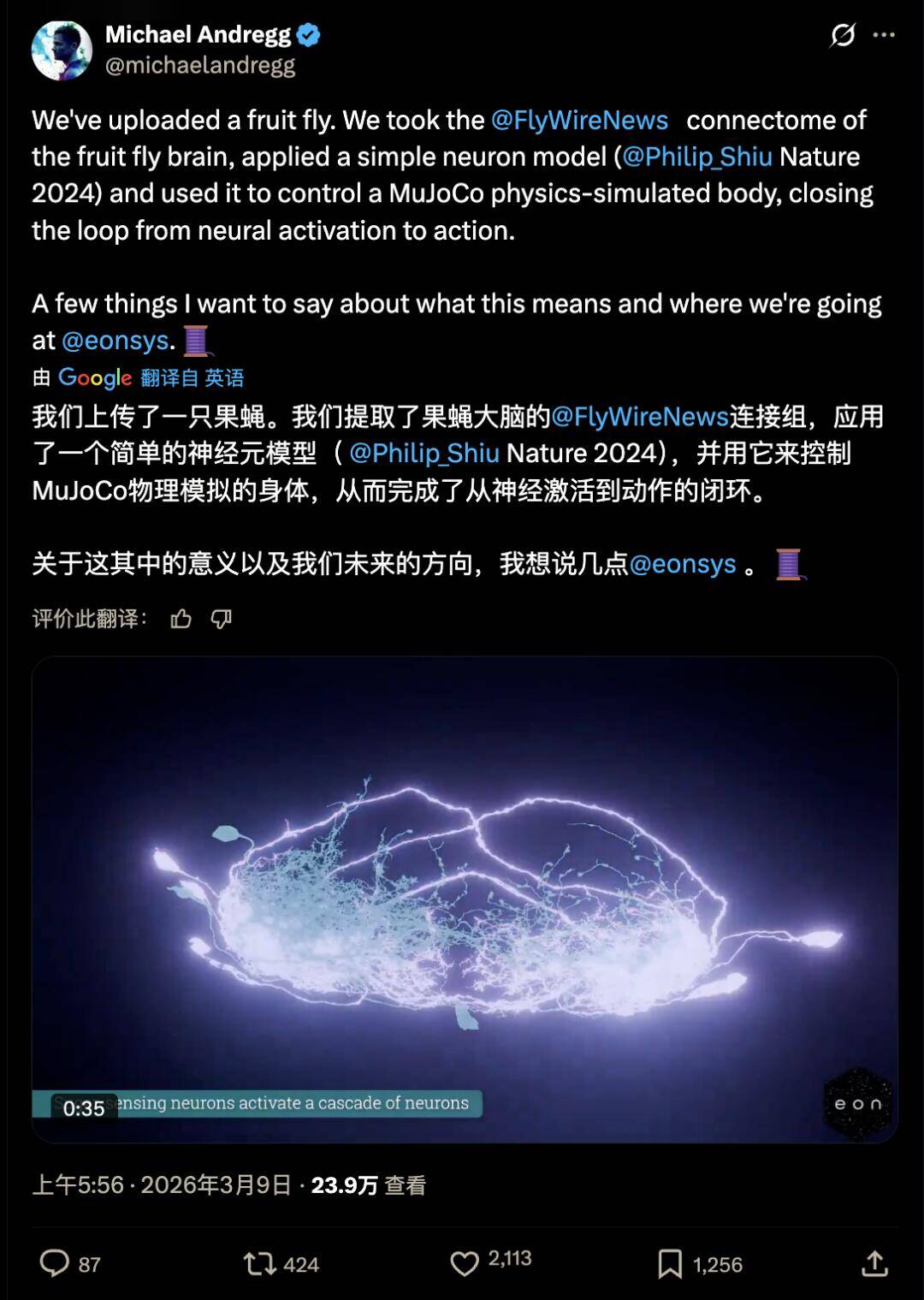 果蝇,电脑,科幻,科技