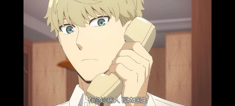 间谍过家家,SPYFAMILY,动画,动漫,番剧,ACG