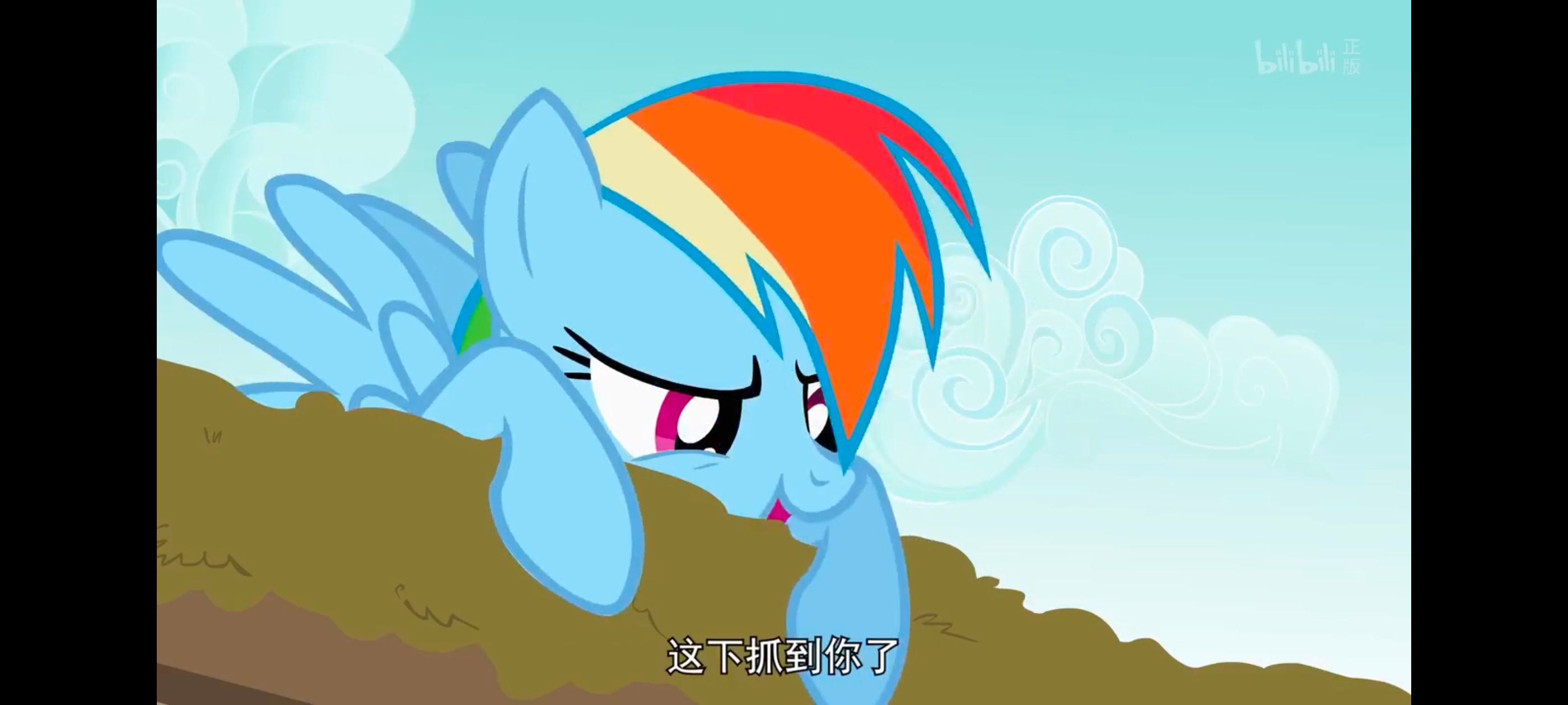 小马宝莉,彩虹小马,我的小马驹,动画,动漫,番剧,ACG